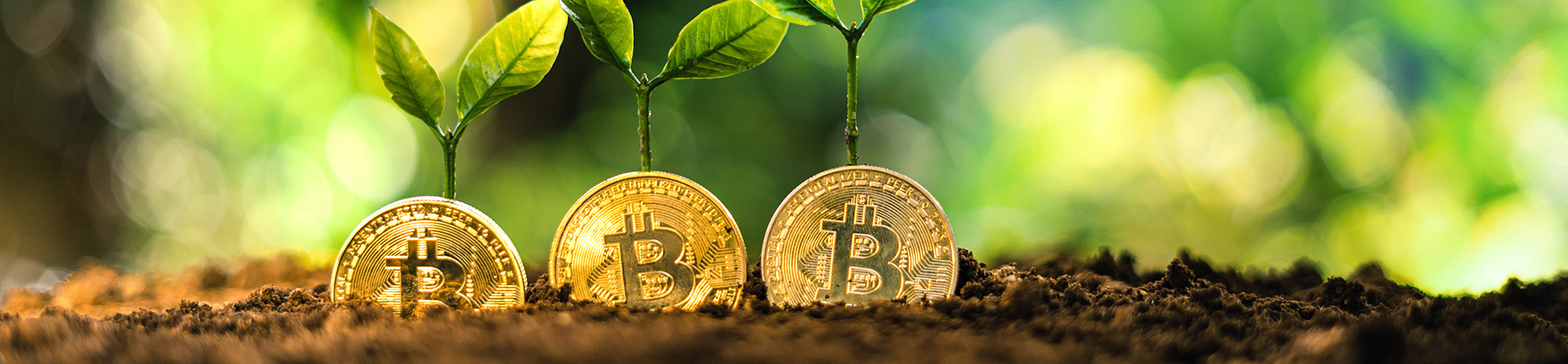 bitcoin groeit naar 30000 dollar cryptosite